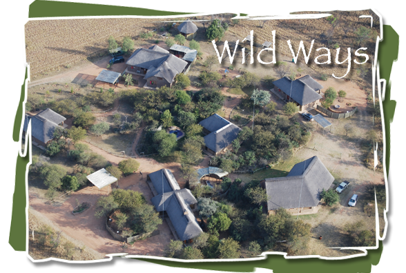 Wild Ways